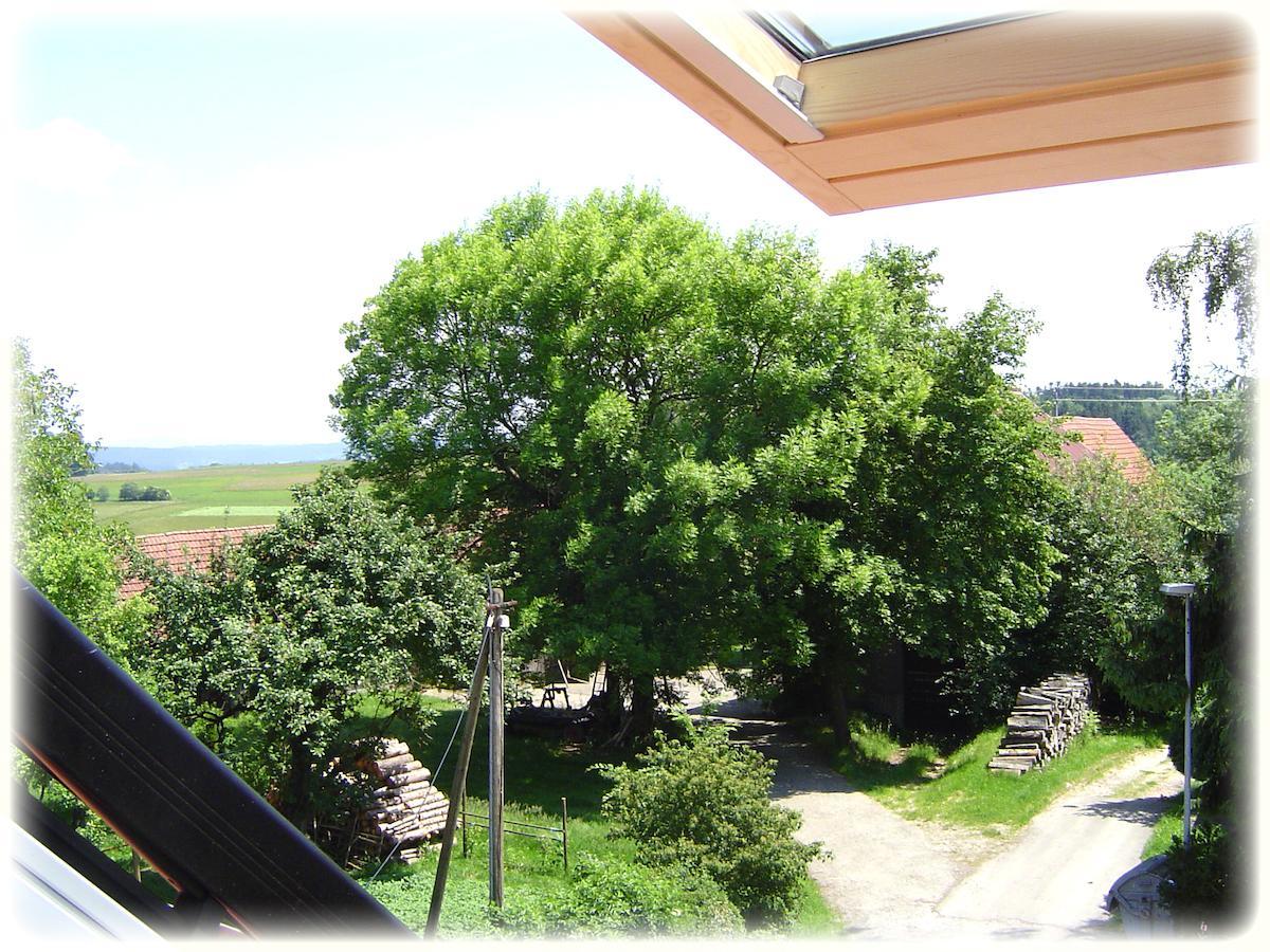 Gasthof Hotel Traube Oberndorf am Neckar Room photo